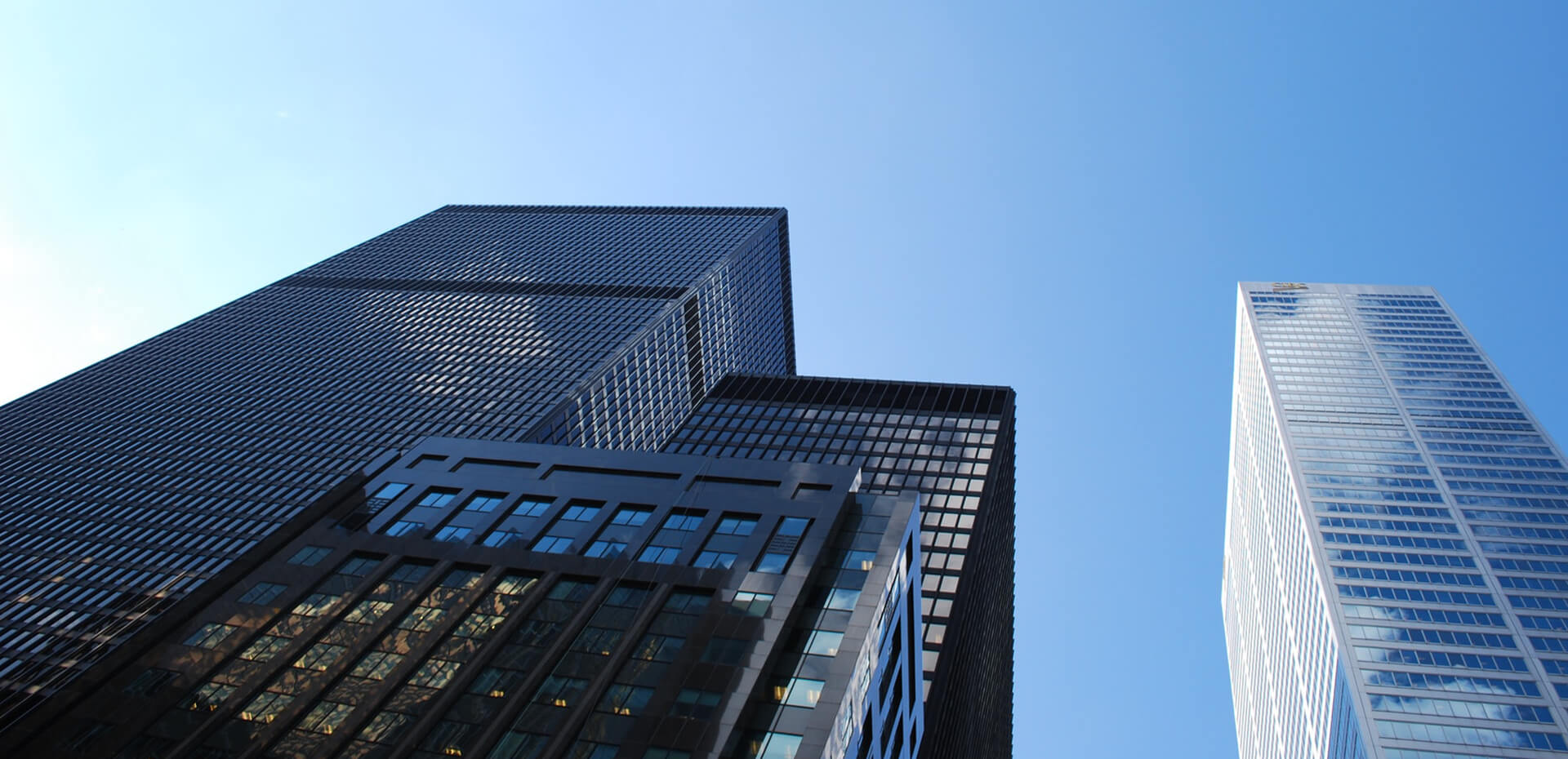 Consulting Services